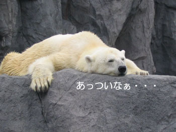 VN}̂ڂ₫1