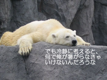 VN}̂ڂ₫2